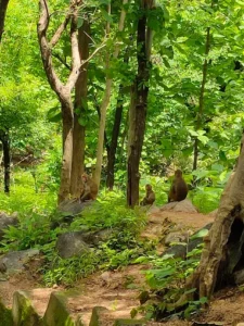 unnamed - 2025-09-22T094107.618